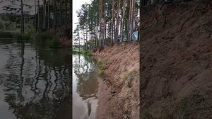 Озеро Пено. Прекрасное место для отдыха.