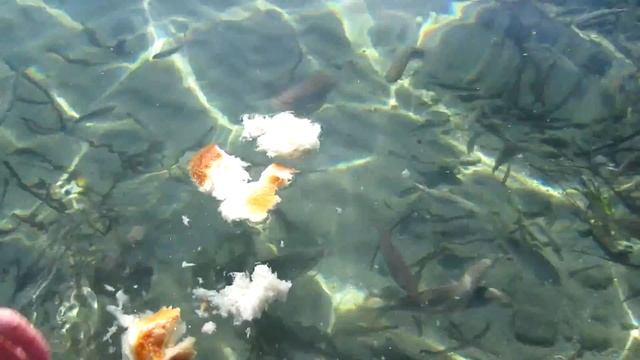 Пляж на Корфу.. смотреть онлайн