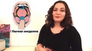 Как легко запомнить кольцо Пирогова-Вальдейра