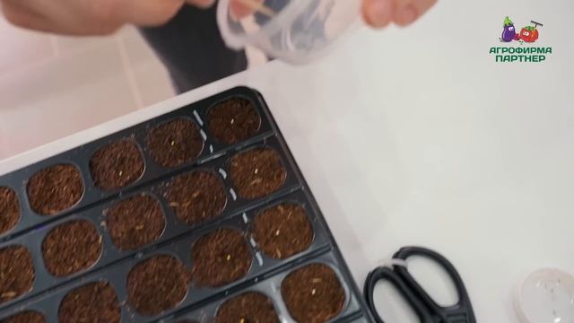 Посев эустомы в масштабах агрофирмы #эустома #цветывсаду #семенапартнер