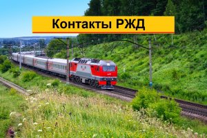 Контакты РЖД и РЖД-Бонус. Как можно получить информацию о поезде или о билете у сотрудника РЖД