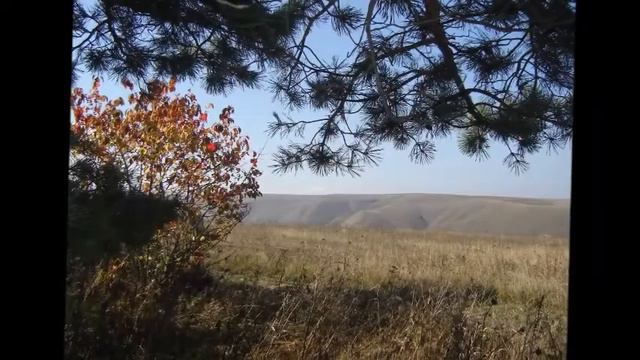 Осень пришла смотреть онлайн