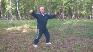 Тайцзи "Толкнуть обезьяну"