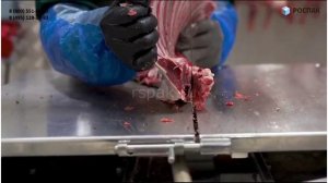 Производство халяльного мясо Оборудование для мясокомбината Вакуумный упаковщик henkelman Термотанк