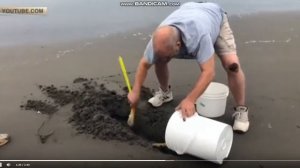 Новости .Приколы.Жуткий морской обитатель: на пляже в США нашли странную рыбу