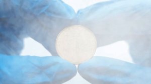 Редкие гривны Украины. 1 гривня 2006 года с Владимиром Великим. Нумизматика.