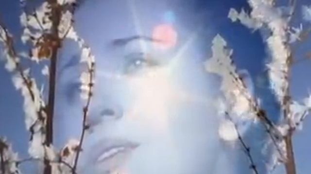 Памяти Валентины Толкуновой Я не могу иначе смотреть онлайн