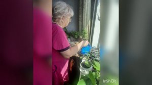 Виртуальный вернисаж. Труд в семье  ДОУ 21 Искитим.mp4