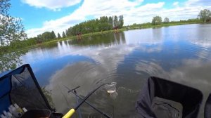 ЛОВЛЯ КАРПА НА ПИКЕР И ПОПЛАВОК! ПЛАТНИК!