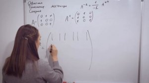 МАТРИЦЫ ОПРЕДЕЛИТЕЛЬ · ВЫСШАЯ МАТЕМАТИКА С НУЛЯ · 1 КУРС УНИВЕР