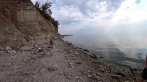 Сазан на 8 кило. Ловля сазана. Рыбалка на средней Волге.
