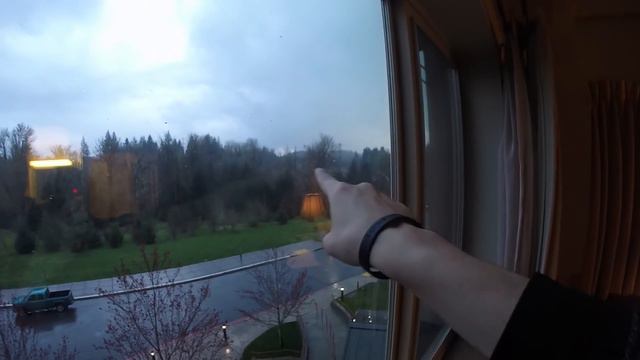 Driving in Seattle PT2 - Hotel Tour ! - Snacks at Walmart #DONUTMEDIA | SLAPTrain