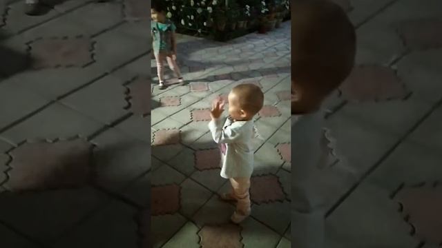 андижанская полька от Дари смотреть онлайн