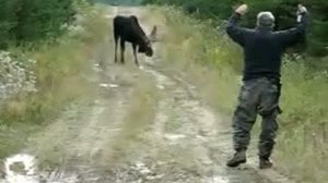 Охотник приманивает лося