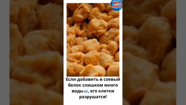 Соевое мясо