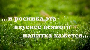 ✨ Лев Толстой. Какая бывает роса на траве | Рассказы для детей