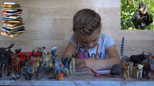 Изучаем диких животных с детьми Летучая мышь Интересные факты о летучих мышах