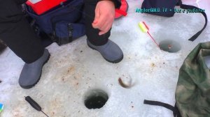 Зимняя рыбалка.  Озернинское водохранилище. Плотва. подлещик.