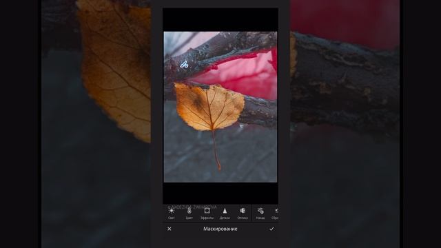 Мобильная обработка фото Lightroom “Осенний лист” / Lightroom Mobile Photo Editing “Autumn Leaf” смотреть онлайн