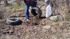 ЗАБРОШЕННАЯ ДАЧА, ПОСАДИЛА ПИОНЫ, ПОСЕЯЛА РЕДИСКУ