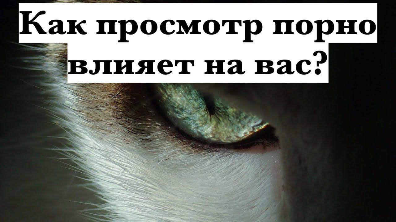 Как порнография влияет на Вас?