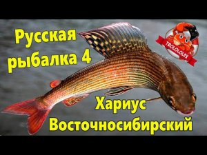 Русская рыбалка 4. Тройка Блитц 40+. Хариус восточносибирский.