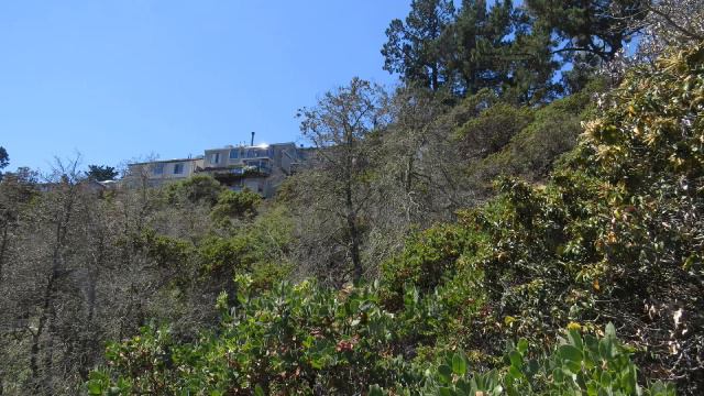 Threats to Oaks and Other Native Plants from Root Rotting Phytophthora Species (Part 2) смотреть онлайн