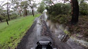 2020 Yamaha Tenere 700 Ride Review