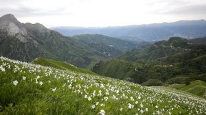 Фанни Мендельсон | Увертюра До Мажор | Лучшая Классика
