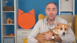 ВЕЛЬШ КОРГИ - ВСЕ О ПОРОДЕ / Обзор породы от кинолога Григория Манева