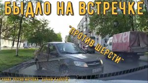 Быдло на встречке #155! Подборка на видеорегистратор!