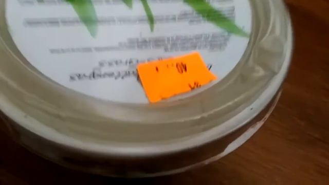 Трава для котов. смотреть онлайн