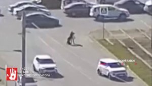 В селе Октябрьское 8-летняя девочка попала под колёса машины