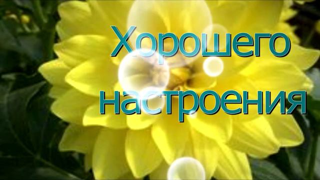 Привет. Вспоминала как пользоваться текстом. Хорошо, что у меня остались уроки с тренинга... смотреть онлайн
