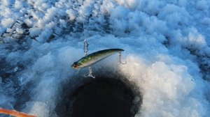 В поисках клыкастых судаков. Рыбалка на Чебоксарском водохранилище.