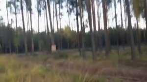 Девушка стреляет из ружья. Пуля Бреннеке