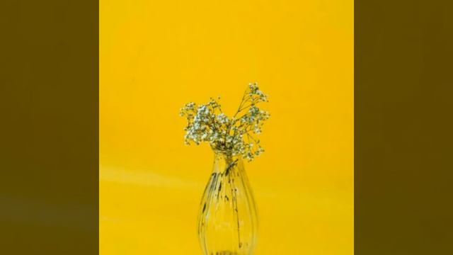 Это тебе систр на твою денюху . смотреть онлайн