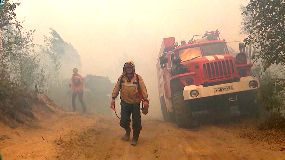 Площадь природных пожаров в России выросла на 12 тысяч гектаров / События на ТВЦ