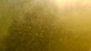 VLOG Как я провожу время на речке? Ныряю под водой. ОТДЫХ