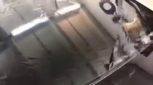 Сколько по времени длится тонировка автомобиля? В среднем тонирование занимает один час