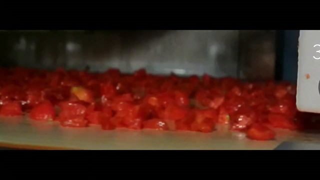 Оптический сортировщик для резанных помидоров, томатной пасты, джемов, мякоти фруктов Raytec Typhoo смотреть онлайн