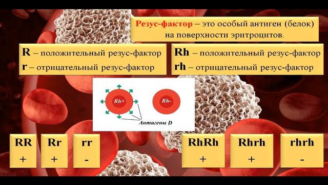 Группы крови. Генетические задачи на группы крови и резус-фактор. смотреть онлайн
