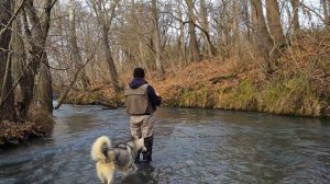 Форелевая рыбалка на спиннинг в декабре. Топовый воблер на форель. Рыбалка с хаски