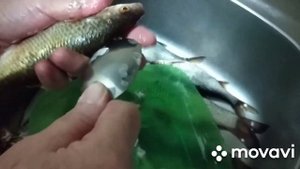 Как аккуратно почистить рыбу, чтобы чешуя не летела во все стороны. Лайфхак)
