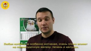 Какую колбасу можно давать собакам и кошкам