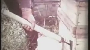 ✅ЭТО НУЖНО ЗНАТЬ КАЖДОМУ ПЧЕЛОВОДУ "ПЧЕЛОВОДСТВО СССР"