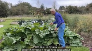 Идеальный огород без минералки в октябре у Чарльза Даудинга.