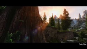 My 2016 Skyrim Graphical Mod Setup - Riverwood