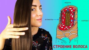 ИЗ ЧЕГО СОСТОИТ ВОЛОС ЧЕЛОВЕКА  ПОЛЬЗА МАСОК ДЛЯ ВОЛОС   POLI NA PALME
