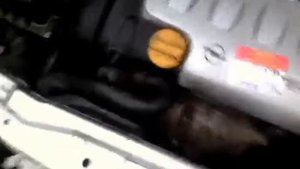 Замена термостата БЕЗ КОРПУСА продаваемого совместно с термостатом. Опель Z18XE1 x18xe1